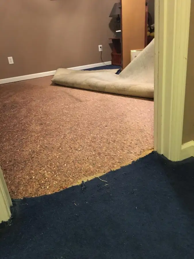 Carpet pad removal revealing water damage during Drying & Dehumidification in Troy