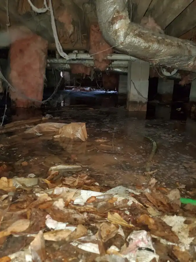 Crawl space flood assessment for Leak Detection & Repair in Troy